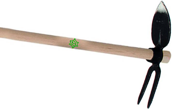 ZAPPINO CUORE/BIDENTE