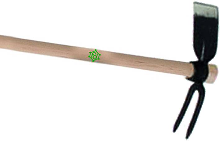 ZAPPINO QUADRO/BIDENTE