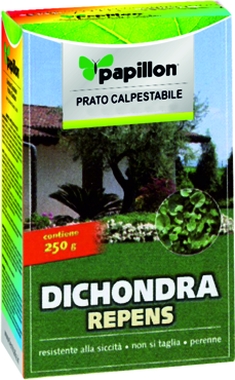 SEMENTI PER PRATO DICHONDRA